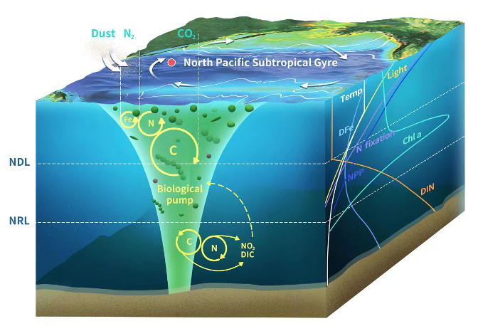 AGU编辑推荐丨海洋荒漠可助力二氧化碳捕获并缓解全球变暖